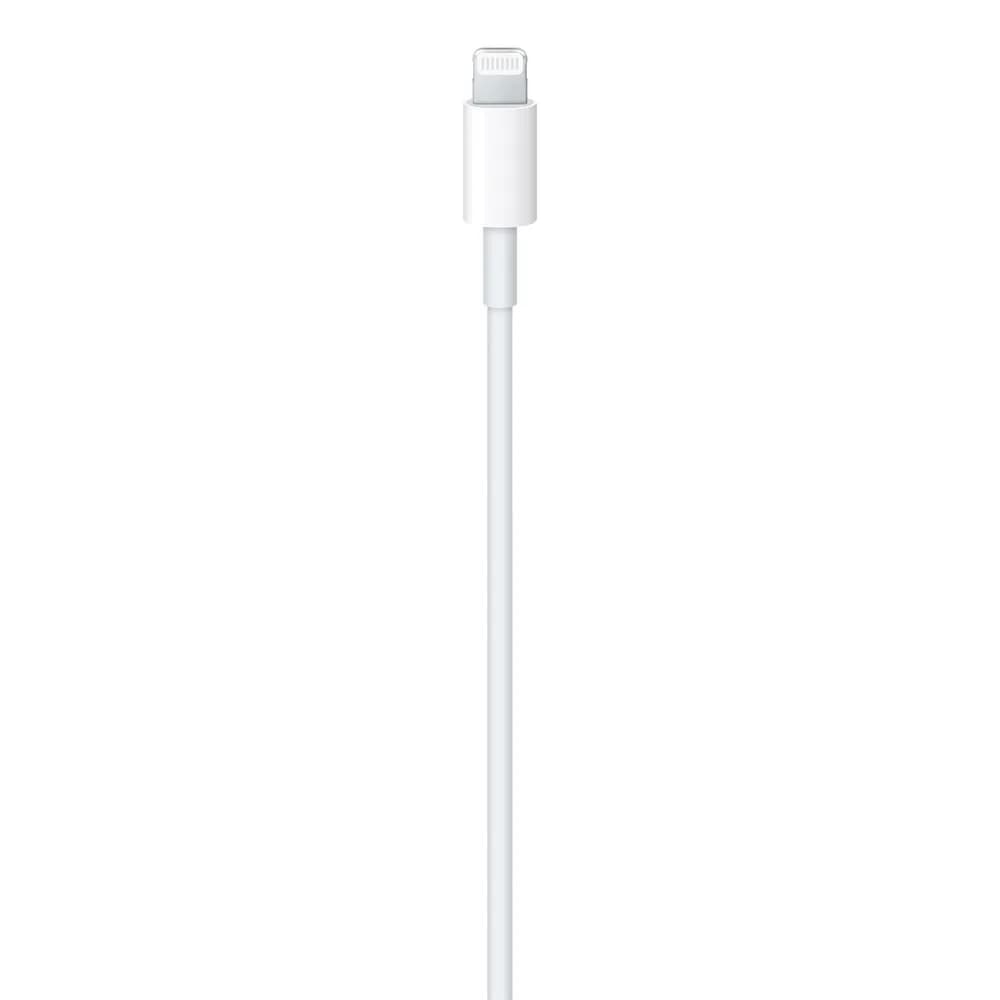 USB-C - Lightning 1.0m "MUQ93" — miniatură