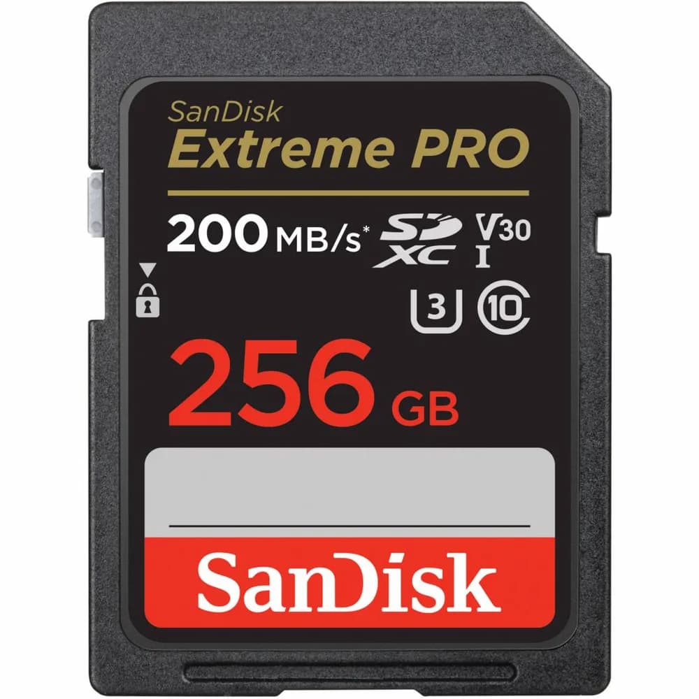 Card de Memorie SDXC SanDisk, 256GB, Clasa 10, Reading speed: 90MB/s
