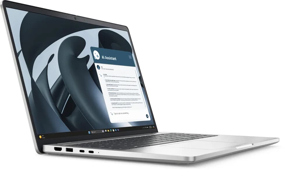 DL PB16255 FHD+ R5P 340 16 512 AMD W11P "BTO601_PB16255_EMEA" — miniatură