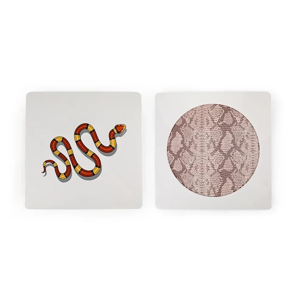 Plăci Senzoriale Tactile cu Animale — miniatură
