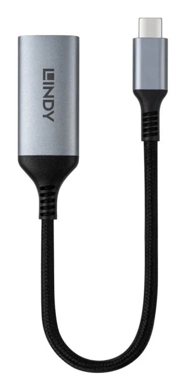 Converter Lindy Type C to DisplayPort 8K60, latime de banda suportata 32.4Gbps, Maximum Input Resolution: 7680x4320@60Hz and 3840x2160@120Hz Maximum Output Resolution: 7680x4320@60Hz and 3840x2160@120Hz — miniatură