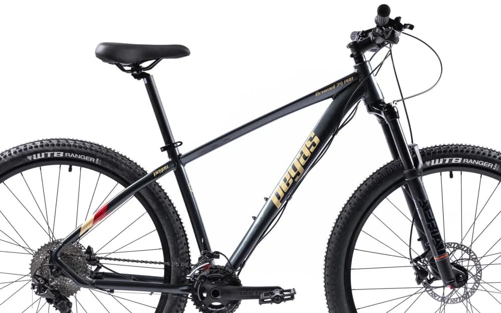 Bicicleta MTB Pegas DRUMET PRO M 29'' GRI CARBON