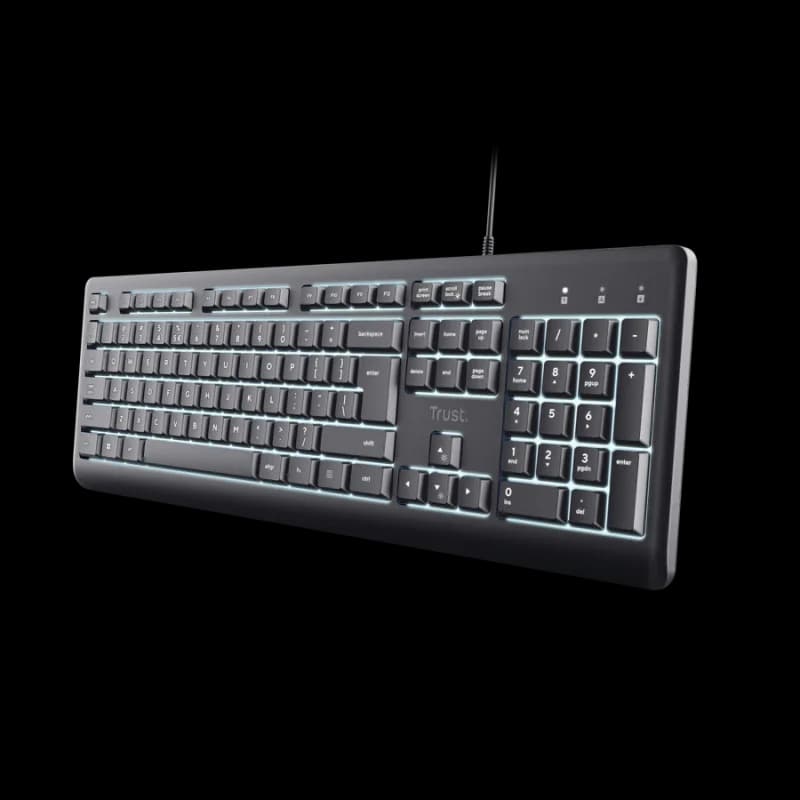 Tastatura Trust Primo, USB, gri