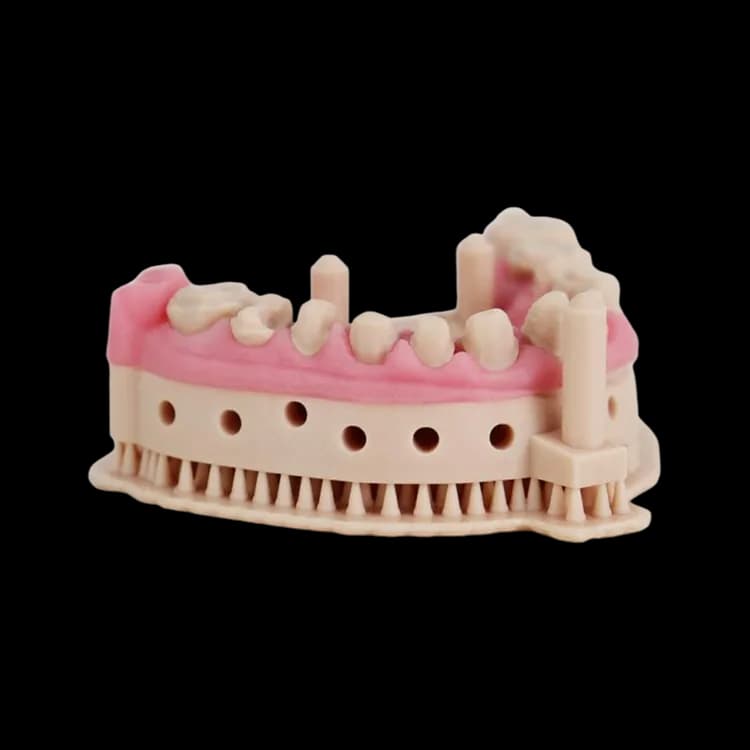 Rășină 3D Liqcreate Dental Model Pro Beige — miniatură
