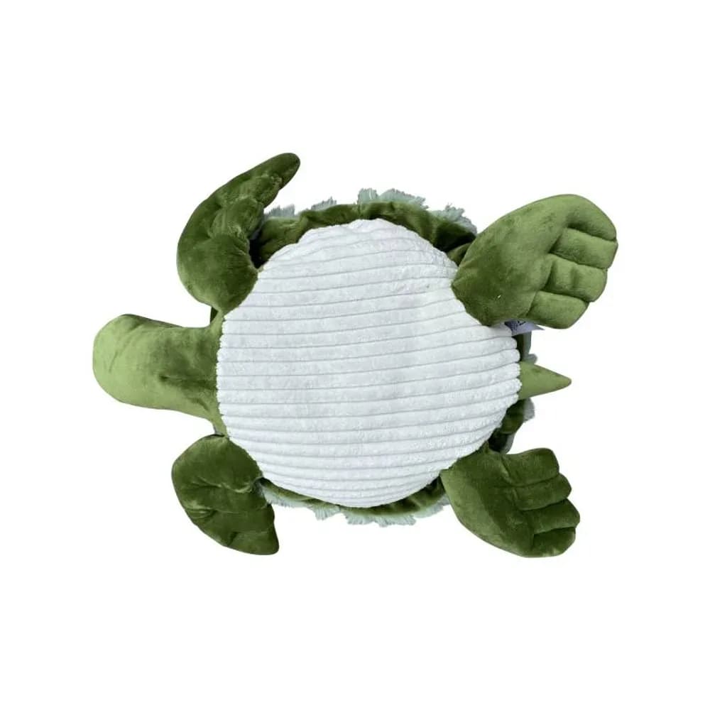 Broască țestoasă cu greutate 1,6 kg — miniatură