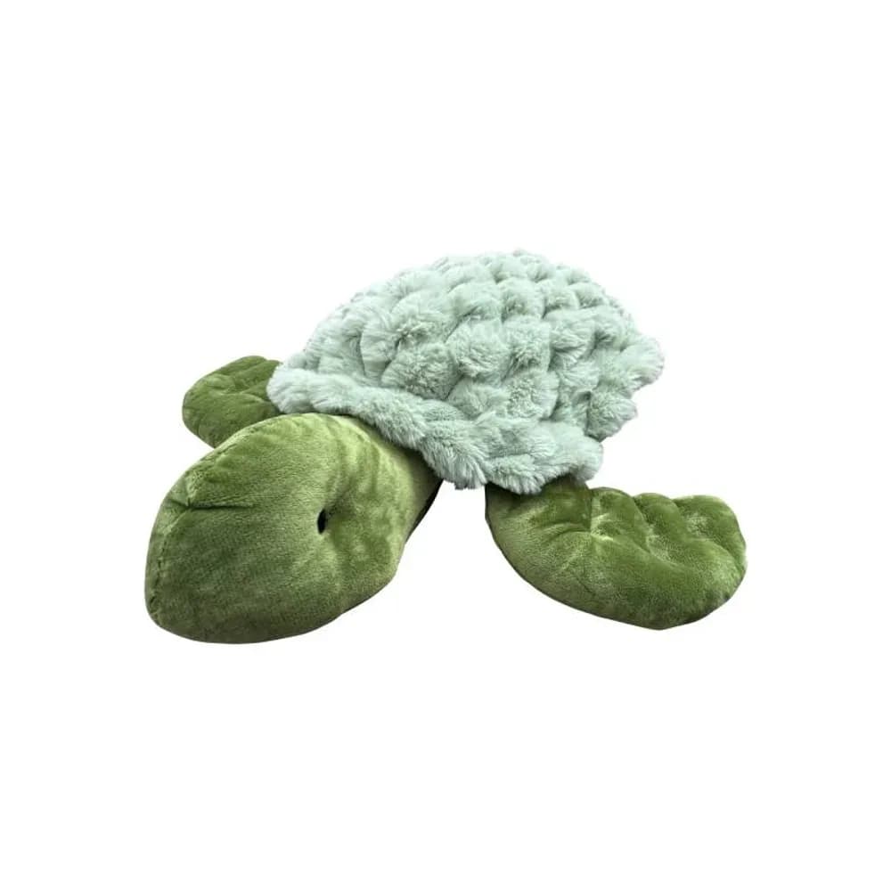 Broască țestoasă cu greutate 1,6 kg — miniatură