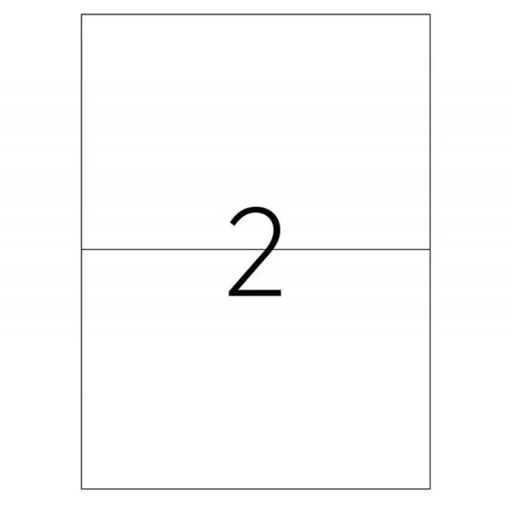 Etichete 210x148.5mm, 2/A4, 100/top - TANEX — miniatură