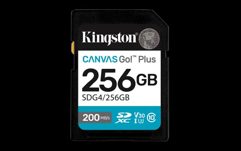 Card de Memorie SD Kingston 256GB Canvas GO PLUS CL10