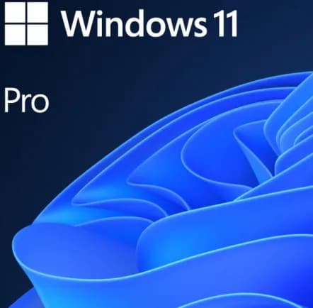 SW WIN PRO N 11 64-BIT ALL LNG PK LIC ONLINE DWNLD NR MS "FWC-03370"