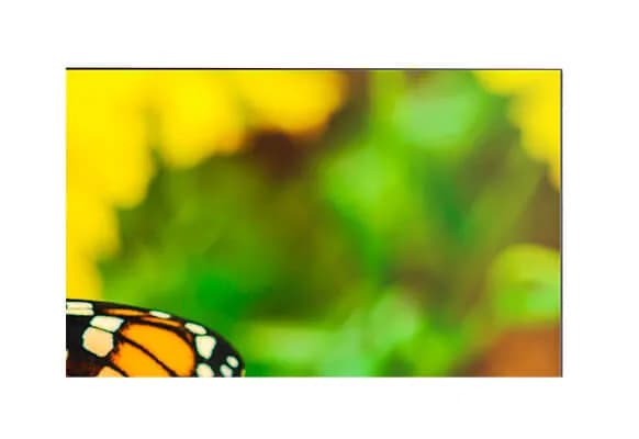 Display 55" NEC Multisync UN552S pentru VideoWall, FullHD,S-IPS, 700 cd/m²