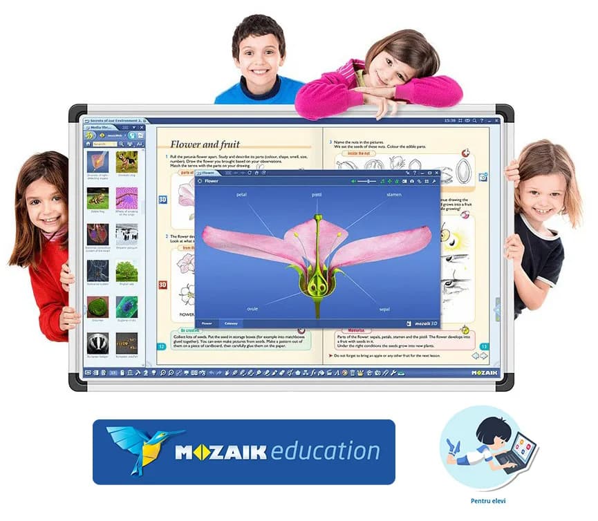 Software Mozaik Student , lectii interactive in timp real, licenta 1 / 3 ani