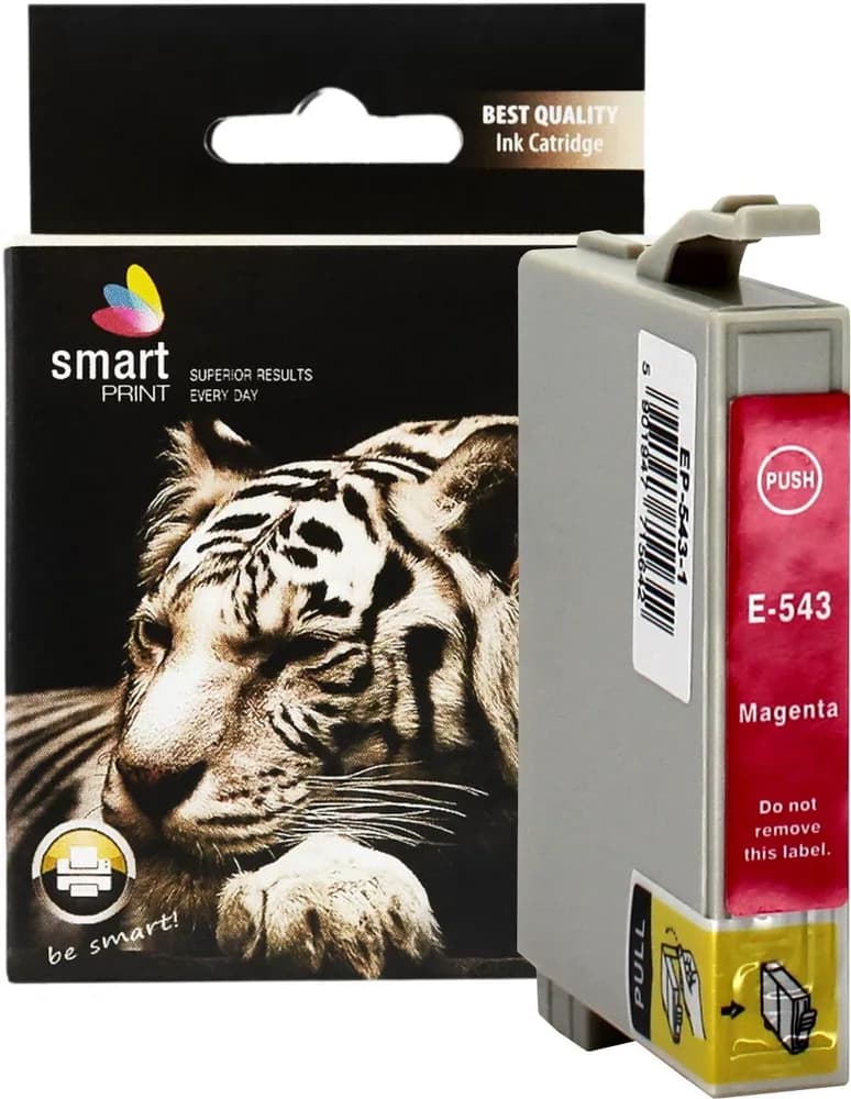 Cartus Cerneala Epson 543 C13T05434010 / T0543