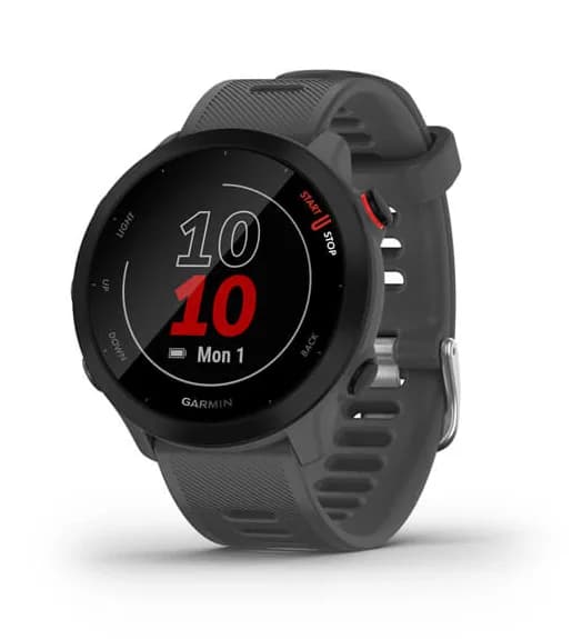 Smartwatch Forerunner 55 Monterra Grey "010-02562-13"