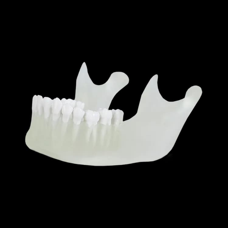 Accesoriu imprimantă 3D Liqcreate Bio-Med Clear — miniatură