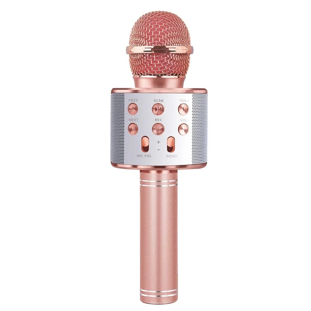 Microfon karaoke cu baterii — miniatură