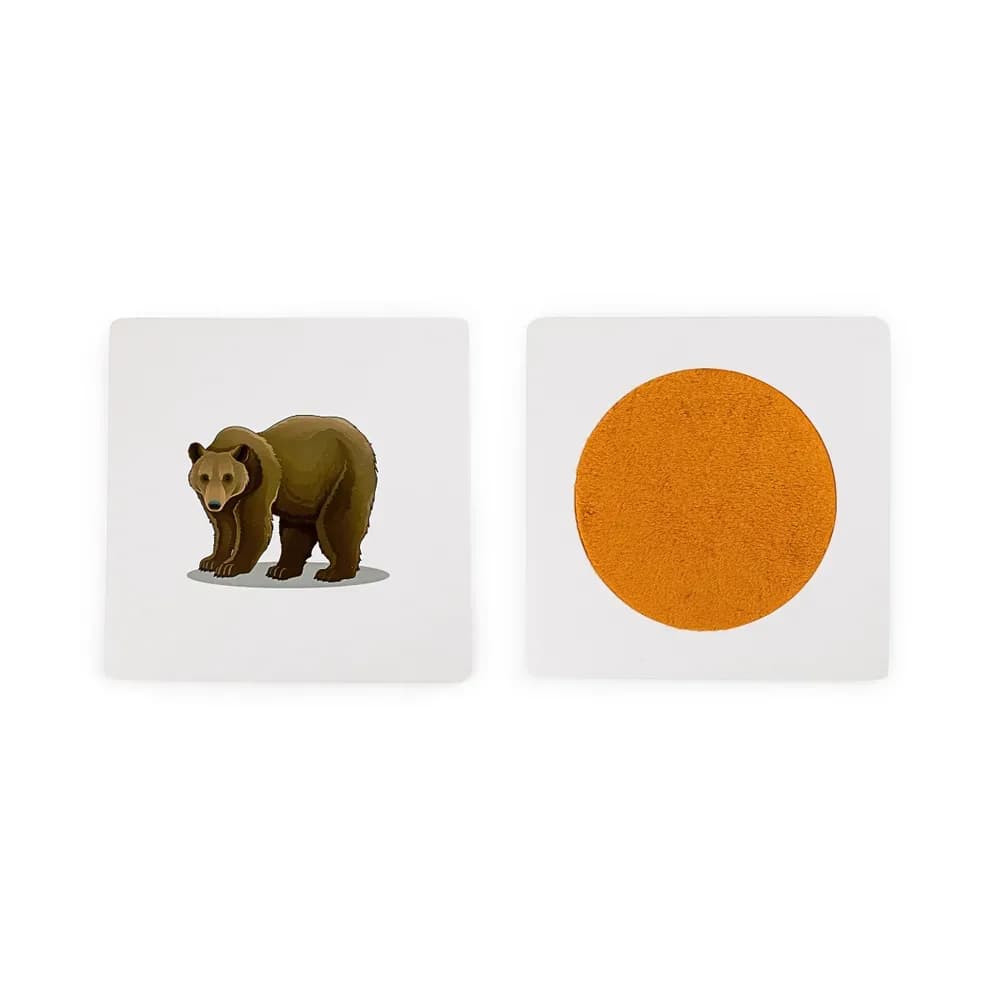 Plăci Senzoriale Tactile cu Animale — miniatură