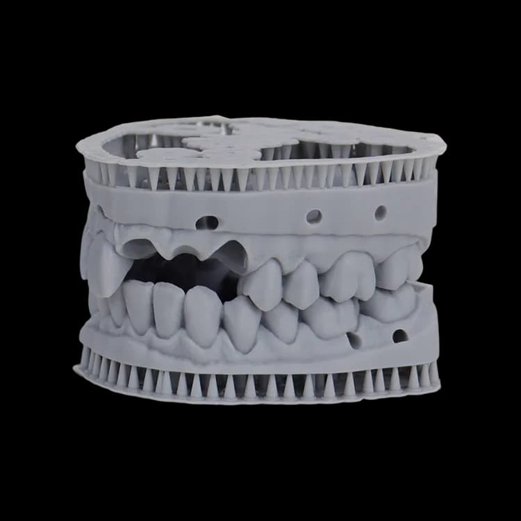Rășină 3D Liqcreate Dental Model Pro Grey — miniatură