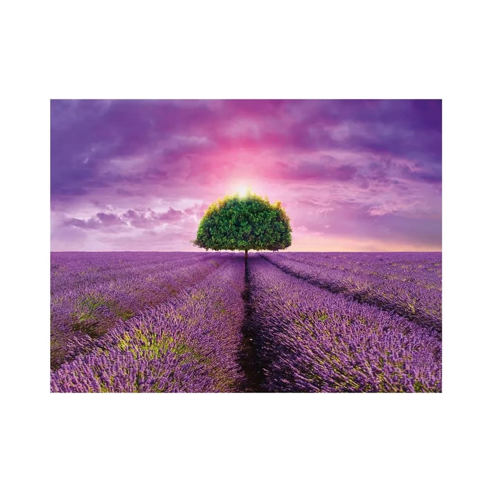 Puzzle 2000 piese, Camp cu lavanda - DINO TOYS — miniatură