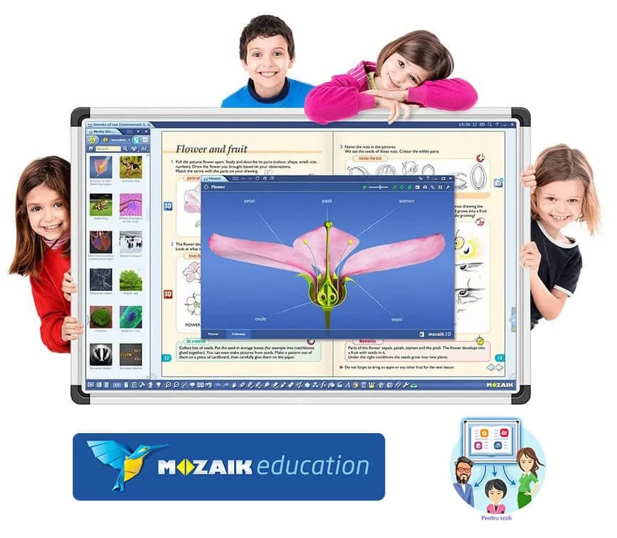 Software Mozabook CLASSROOM , lectii interactive in timp real, licenta 1 / 4 ani
