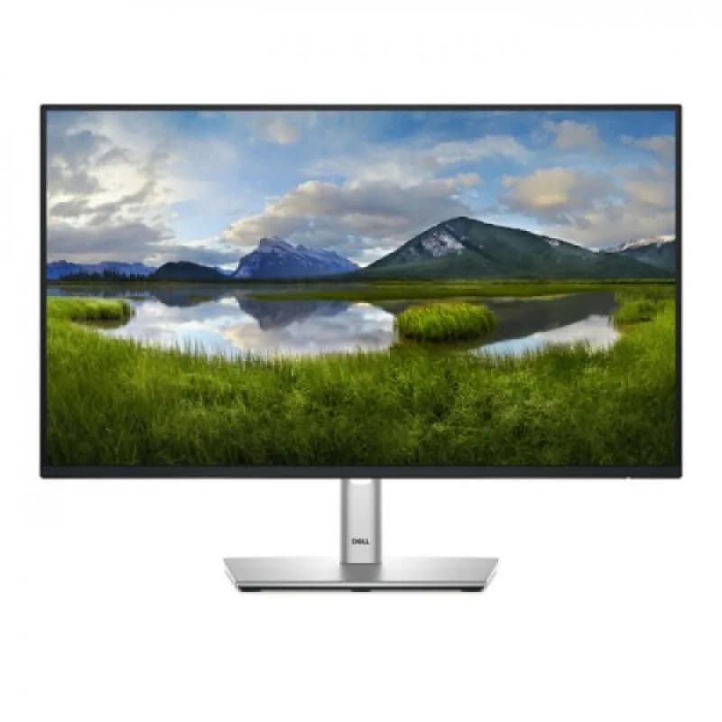 Monitor Commercial Dell P2425H, 23.8", 1920x1080 pixeli, Black-Silver