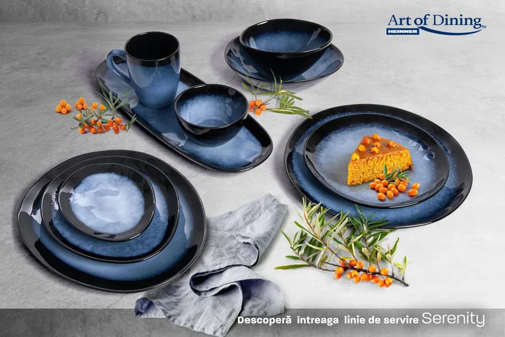 SET 4 FARFURII OVALE CERAMICA 28 CM, SERENITY, ART OF DINING BY HEINNER — miniatură