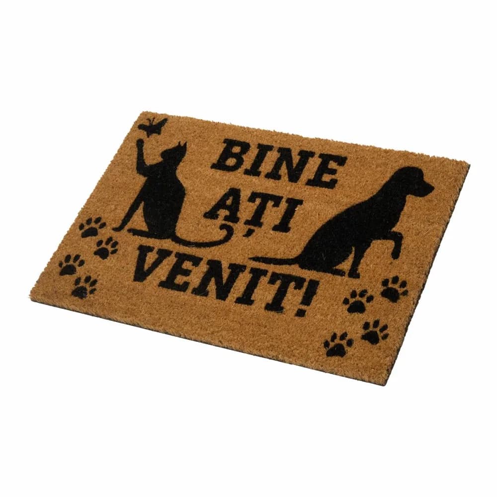 COVORAS INTRARE ANTIDERAPANT 60X40 CM, FAMILY, HEINNER HOME, MIX 5 MODELE/ IN BAX — miniatură
