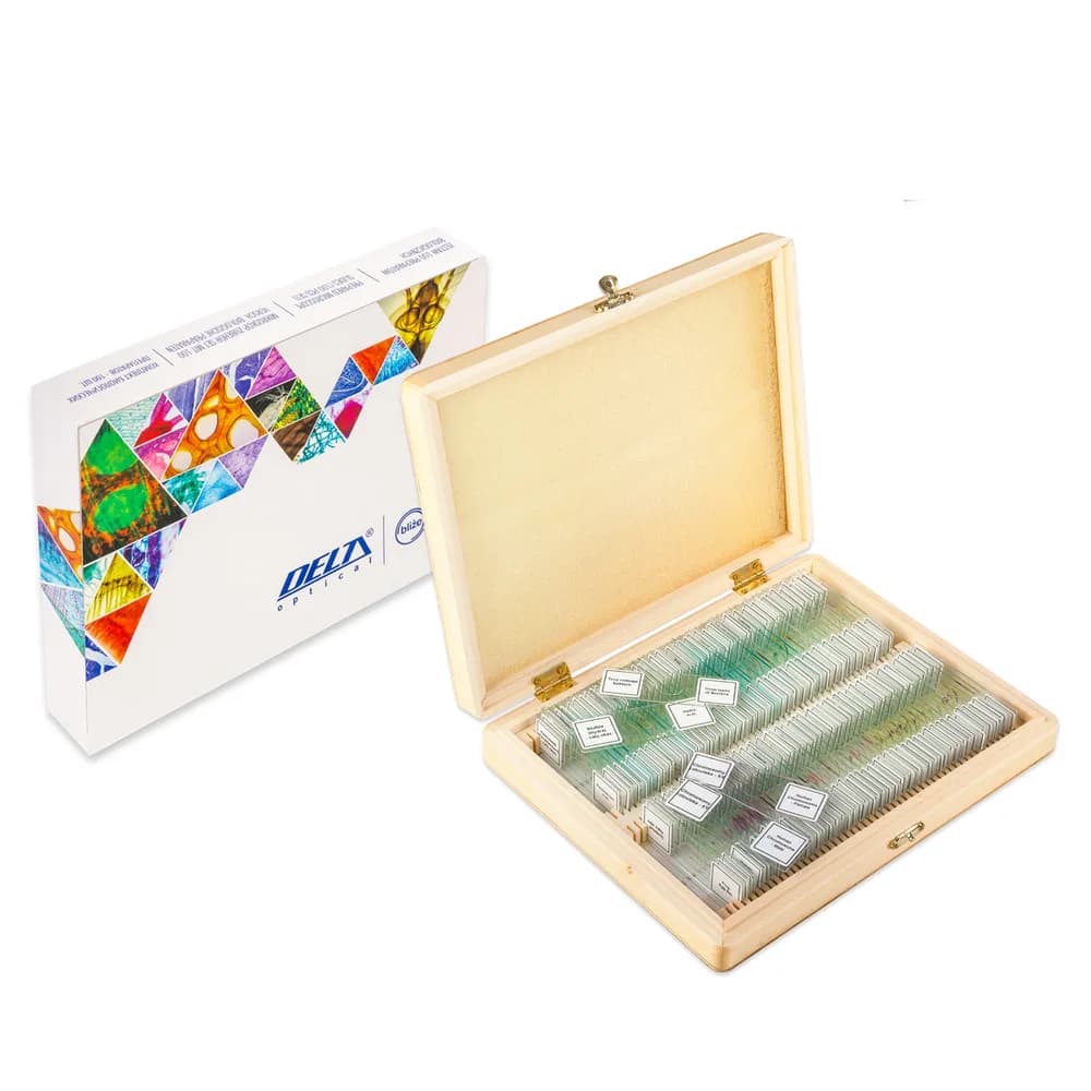 Preparate microscopice (100 buc diferite)