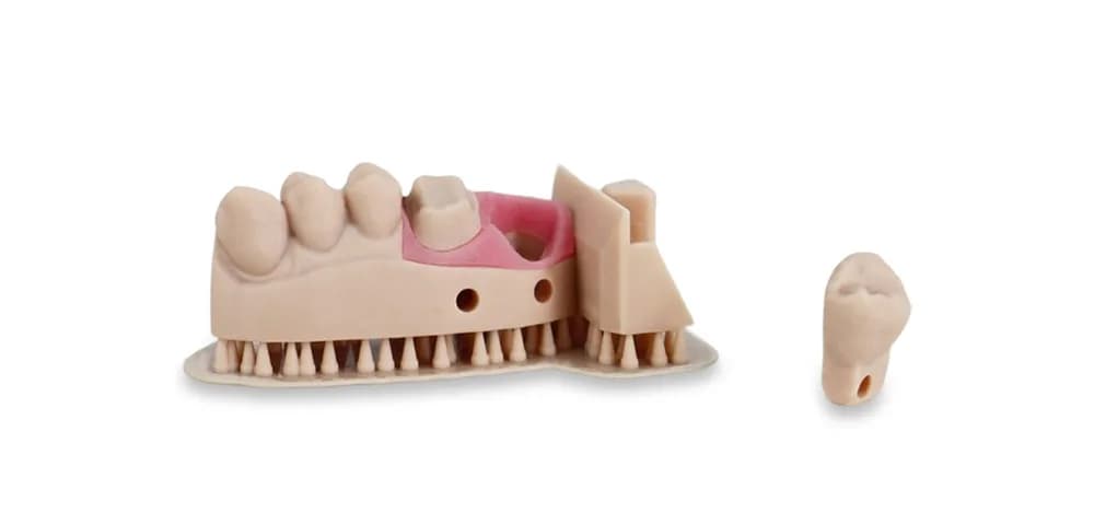 Rășină 3D Liqcreate Dental Model Pro Beige — miniatură