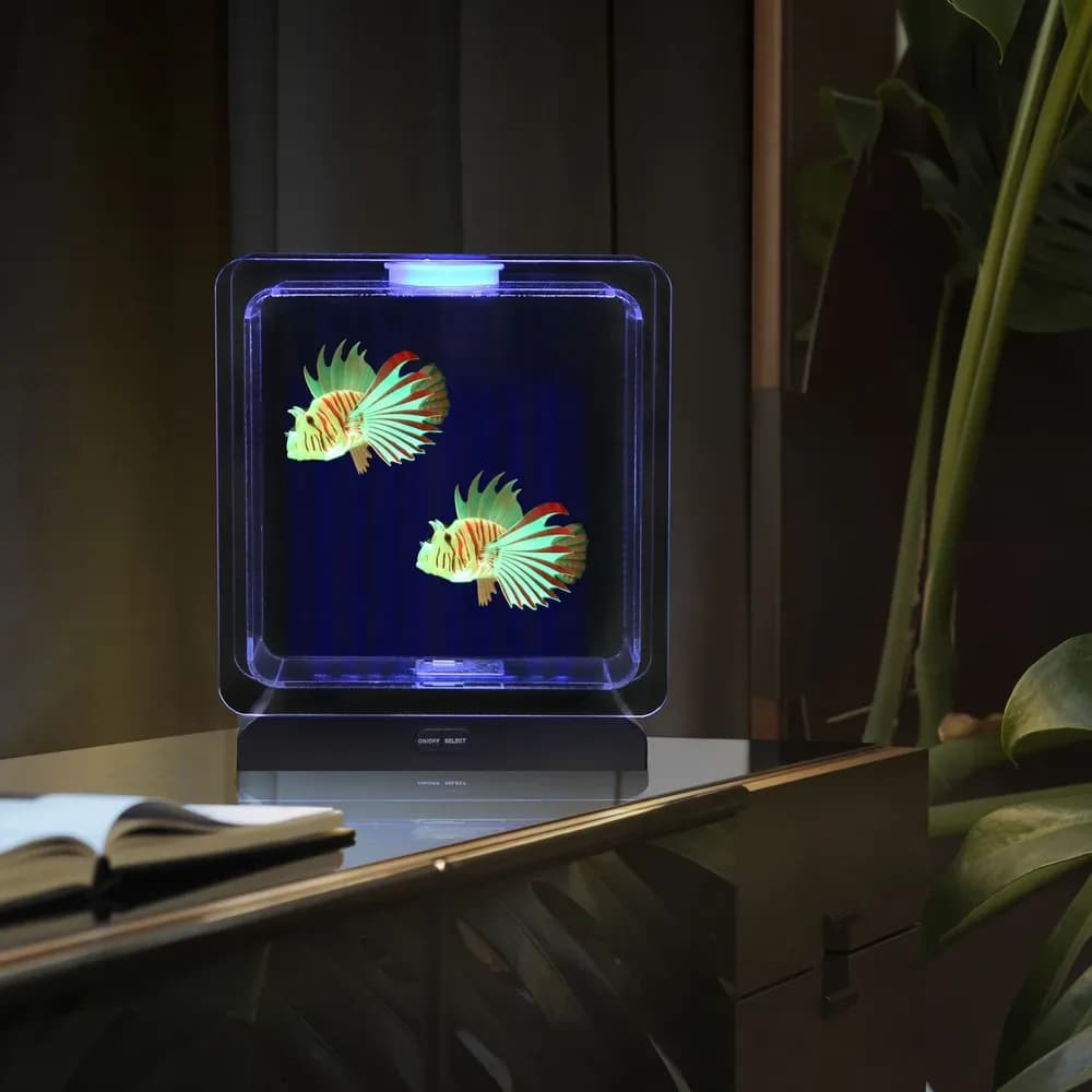 Acvariu pătrat – 2 pești tropicali — miniatură