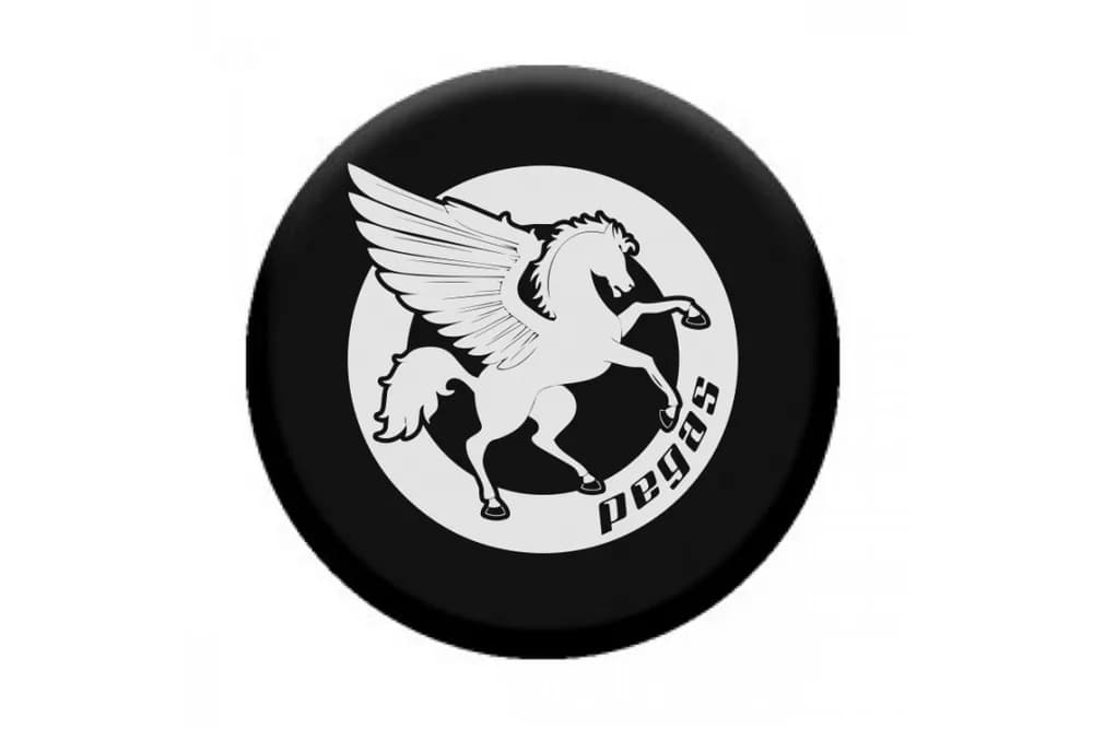 POPSOCKET — miniatură