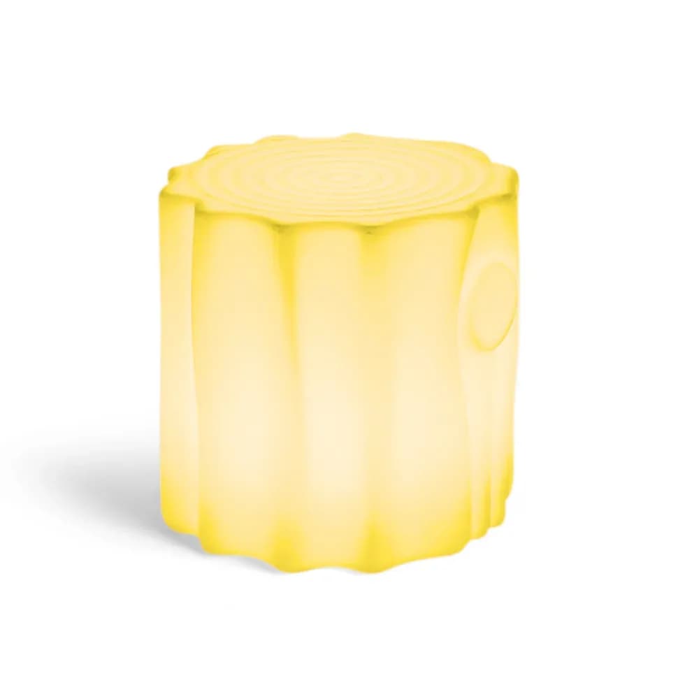 Trunchi de copac care își schimbă culoarea — miniatură