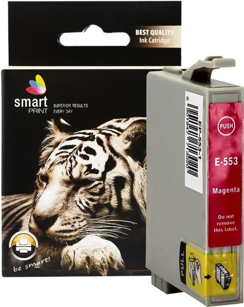 Cartus Cerneala Epson 553 C13T05534010 / T0553