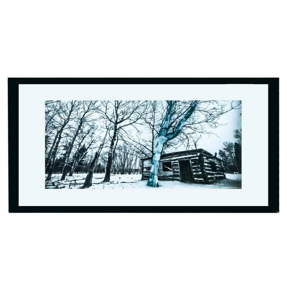 Tablou plastic + sticla, 43x83 cm — miniatură