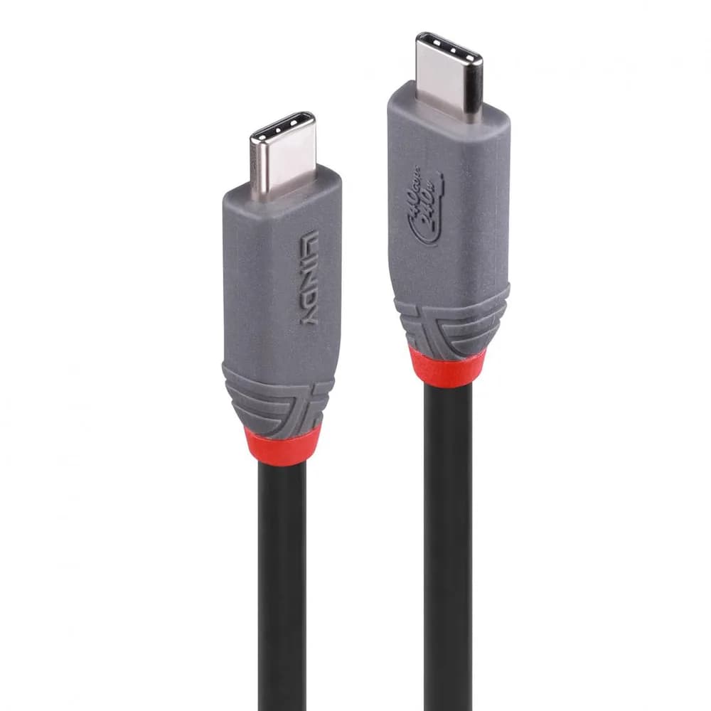 Cablu Lindy USB4 240W USB Type C, putere maxima 240W, 100W, lungime 2 metri, latime de banda supotata 40Gbps, gri — miniatură