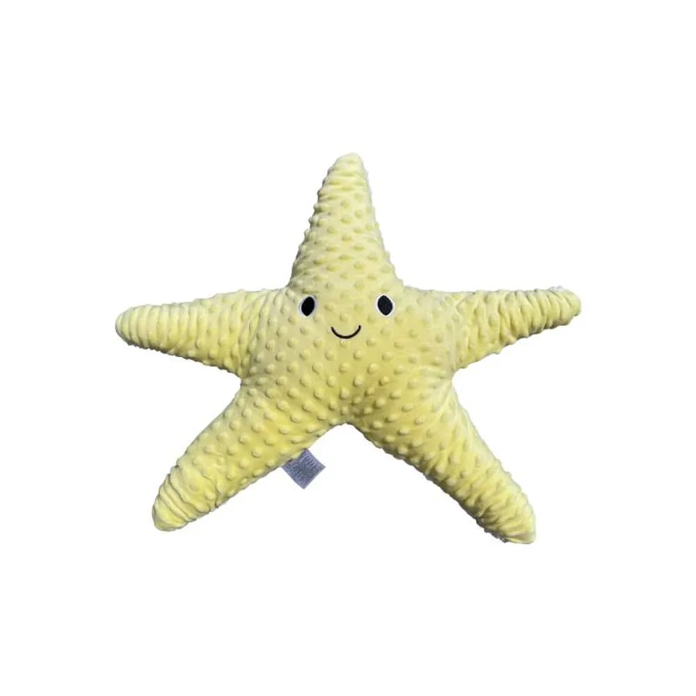 Stea de mare cu greutate 1,6 kg — miniatură