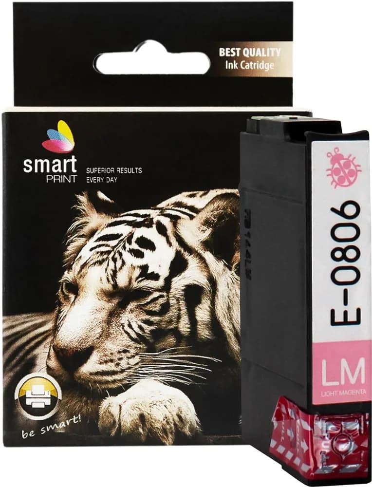 Cartus Cerneala Epson 806 C13T08064010 / T0806