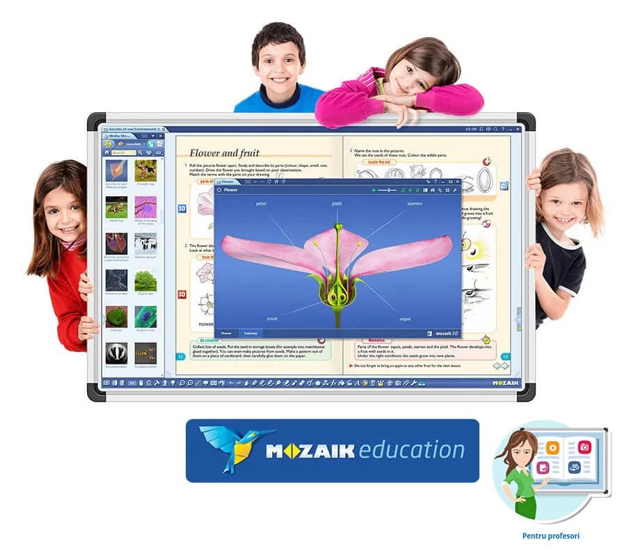Software Mozaik Teacher , lectii interactive in timp real, licenta 1 / 4 ani