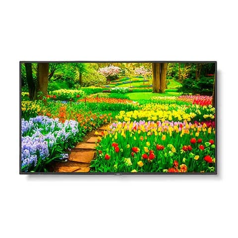 Display NEC-UHD-500cd/m2-E-LED backlight-49"