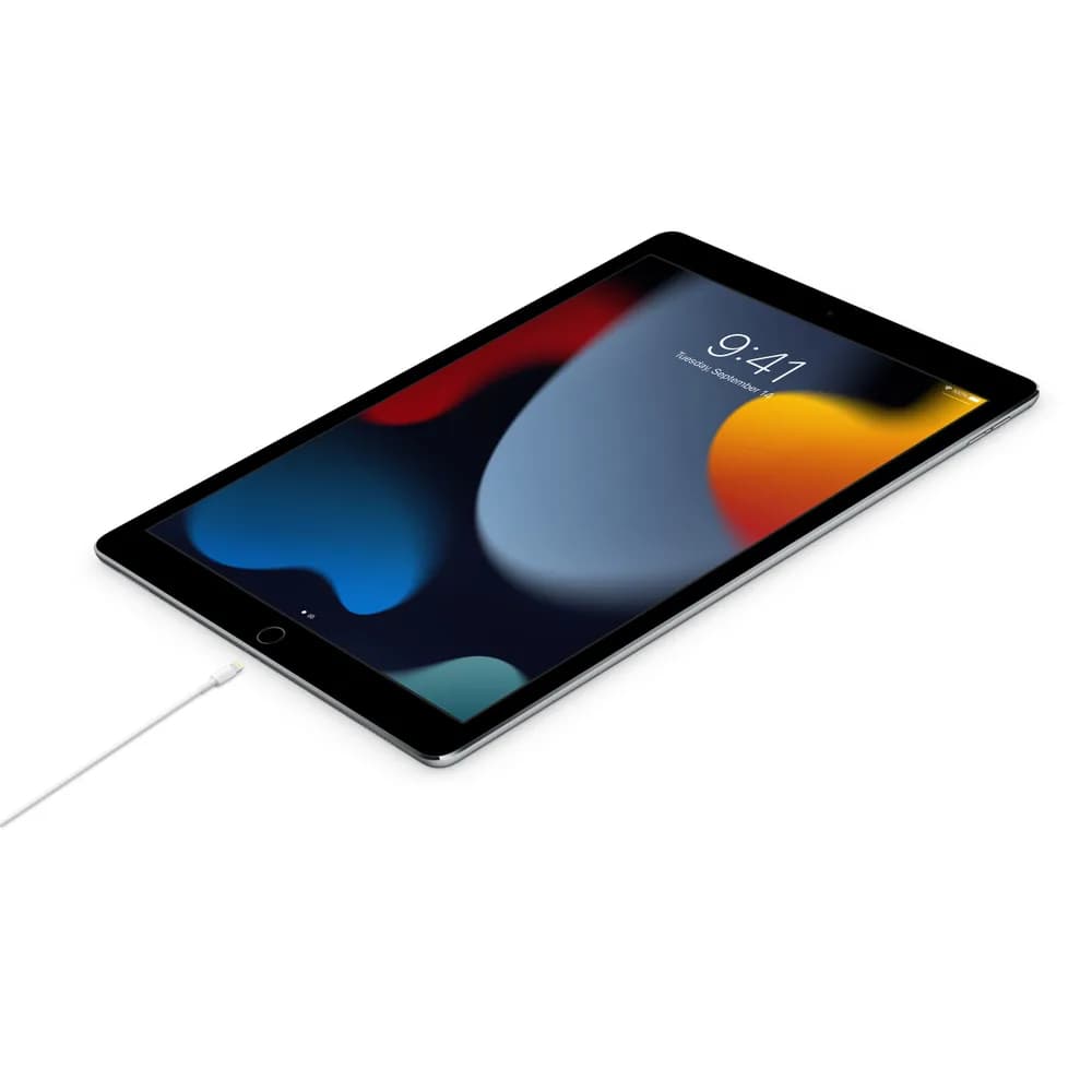 USB-C - Lightning 1.0m "MUQ93" — miniatură