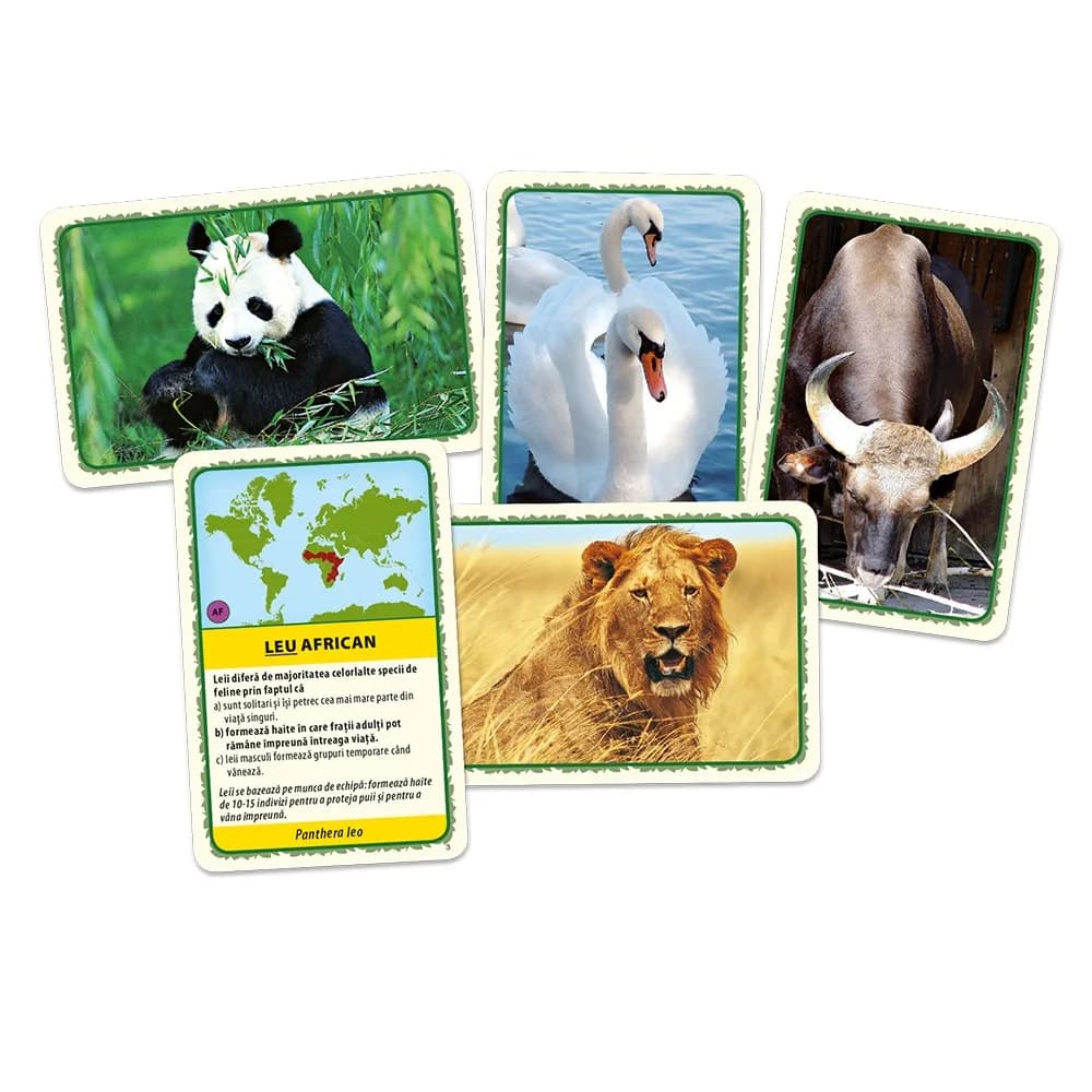 Joc educativ - Animalele lumii, Tactic - BLACKFIRE — miniatură