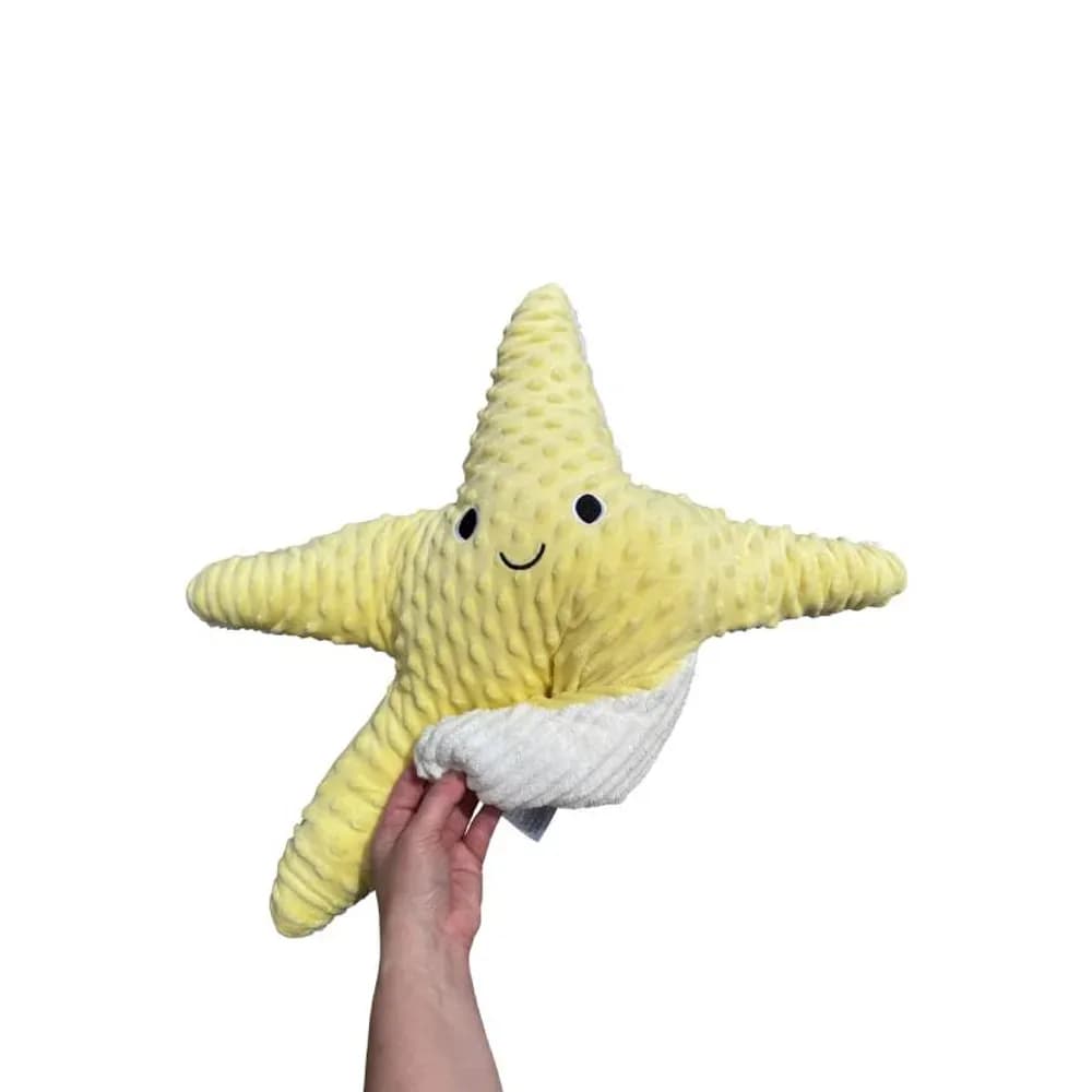 Stea de mare cu greutate 1,6 kg — miniatură