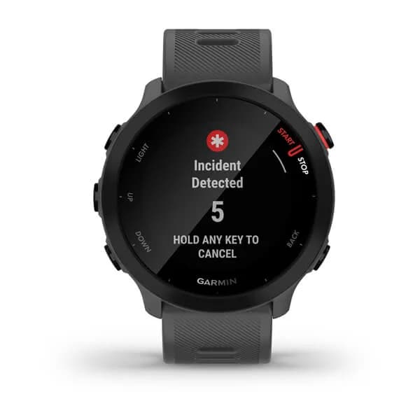 Smartwatch Forerunner 55 Monterra Grey "010-02562-13" — miniatură