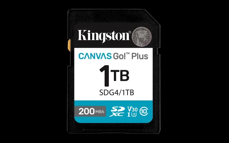 Card de Memorie SD Kingston Canvas GO Plus CL 10