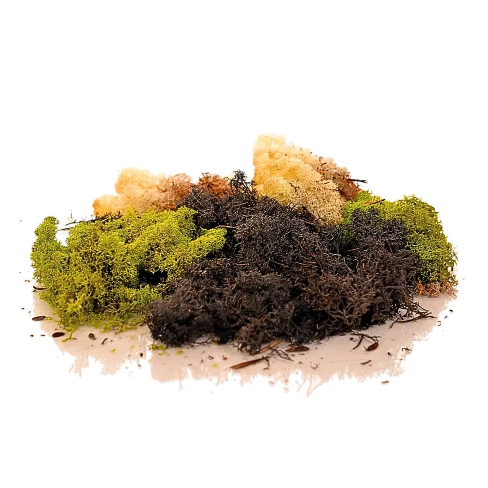 Pachet mixt de mușchi natural