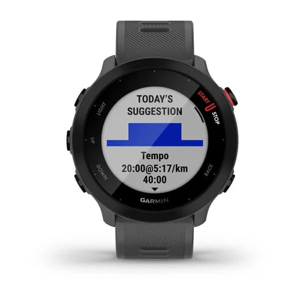 Smartwatch Forerunner 55 Monterra Grey "010-02562-13" — miniatură