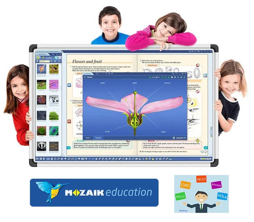 Software Mozabook MULTILANG , lectii interactive in timp real, licenta 1 / 2 ani