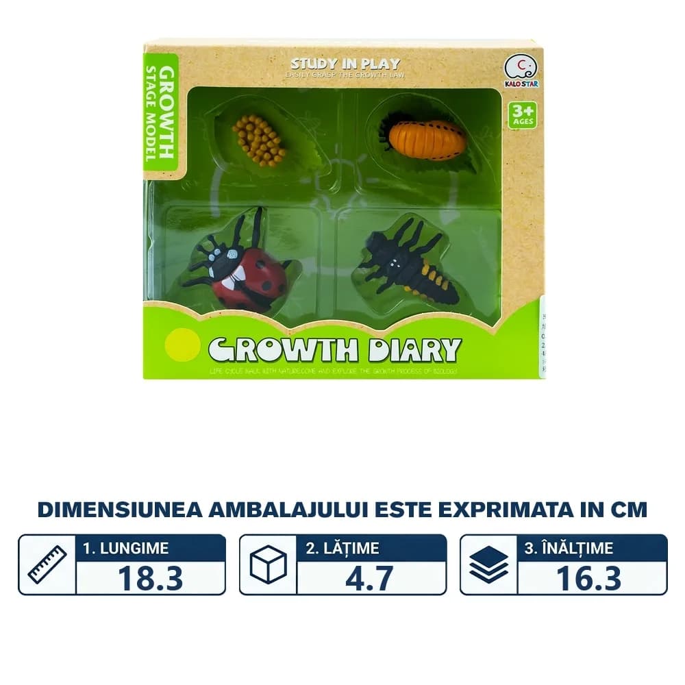 Set figurine, ciclul vietii buburuzei — miniatură