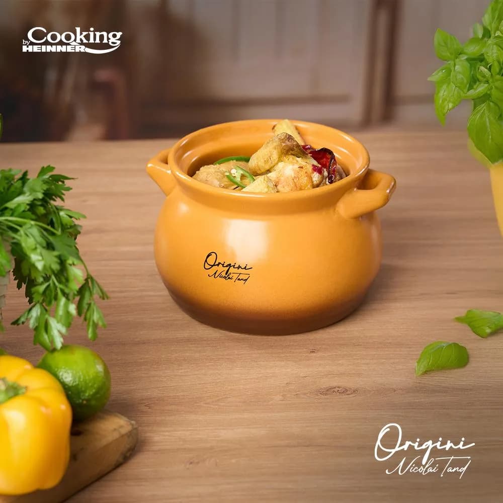 OALA CERAMICA CU CAPAC 12x11 CM, 2 L, NICOLAI TAND, ORIGINI, COOKING BY HEINNER — miniatură