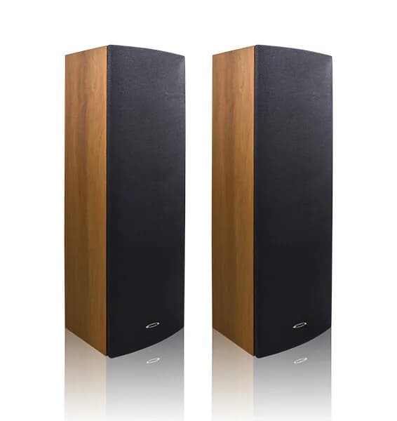 Boxe coloana 15W de interior DSPPA DSP203II (pereche)