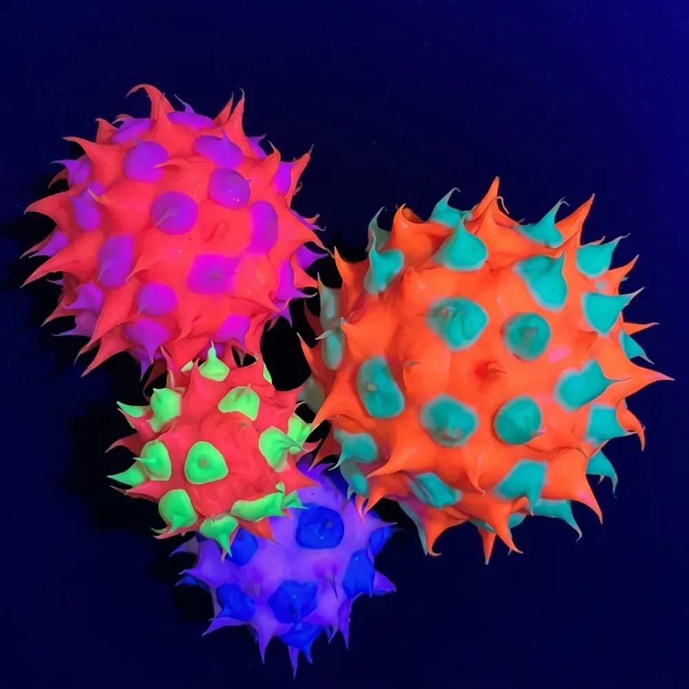 Mingi cu Țepi UV – Pachet de 4 — miniatură